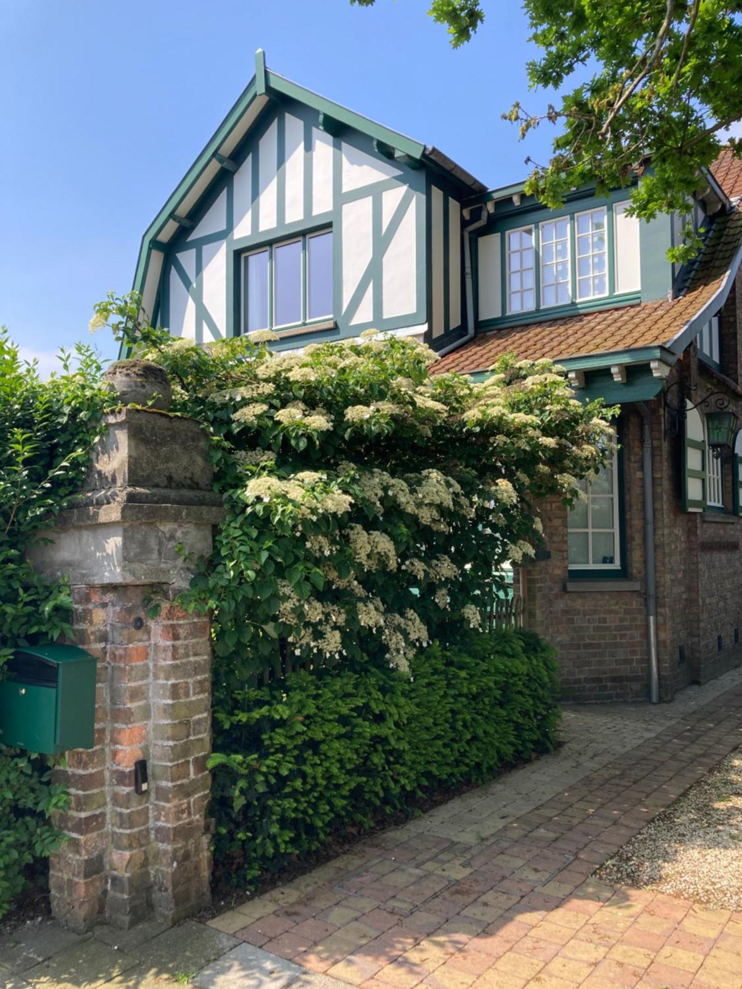 Tree & B Bed & Breakfast Bruges Exterior photo